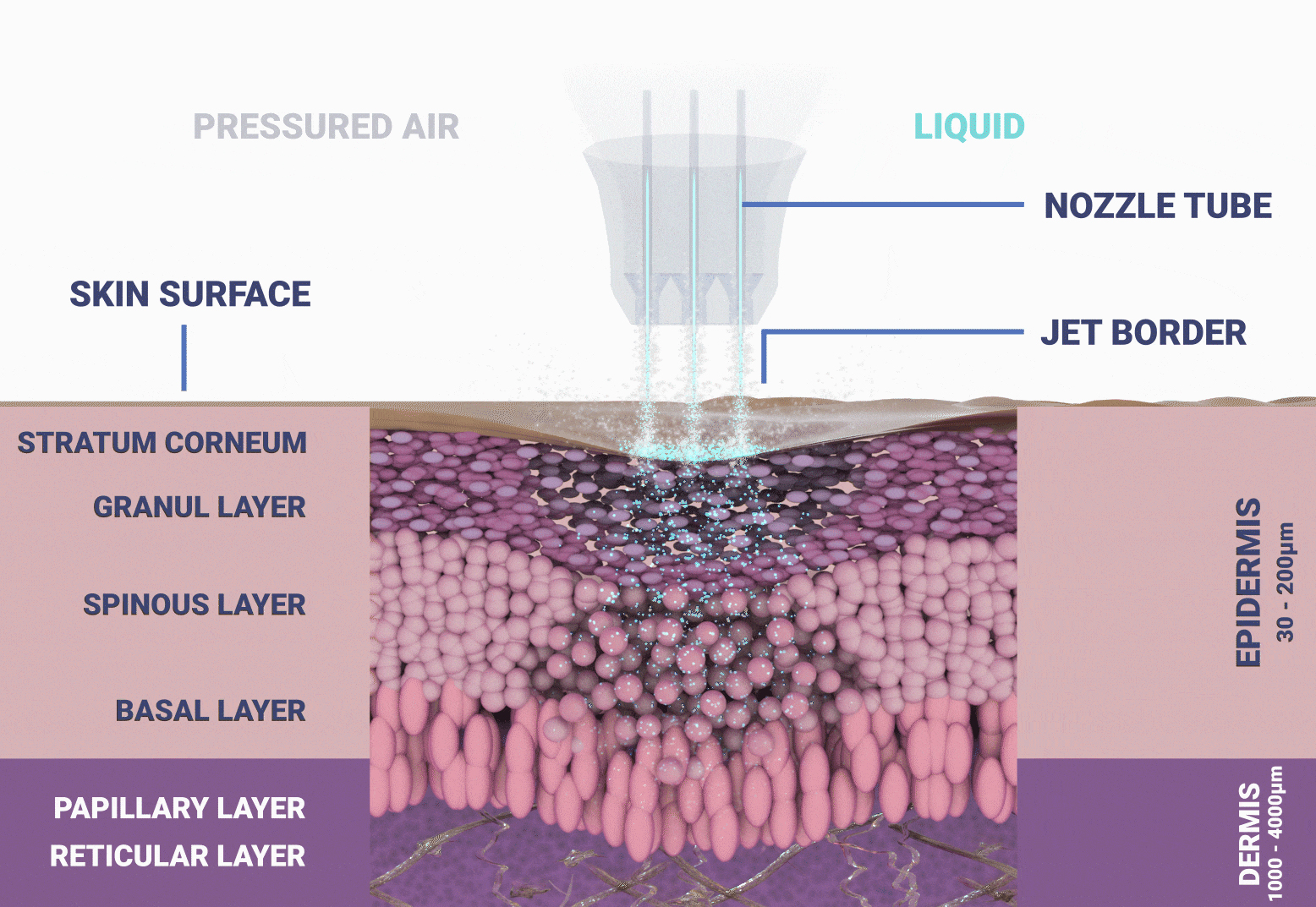 MesotoxJet Pro Hydroporation Facial treatment